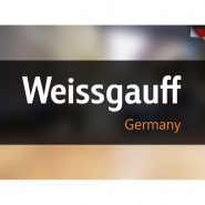  Weissgauff    